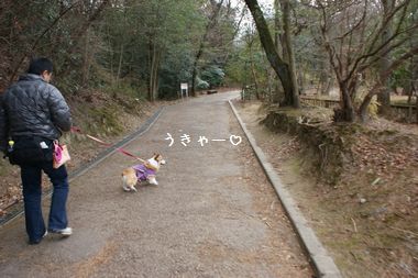 ++嗚呼、短足動物園++