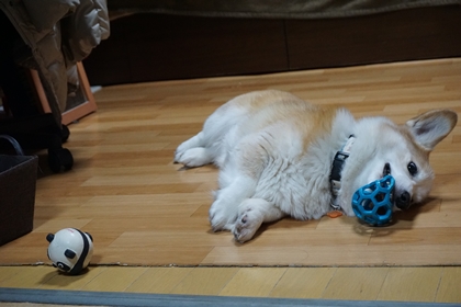 1207