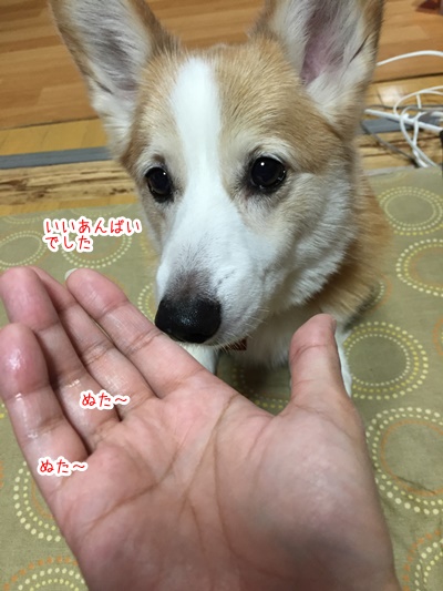 071103