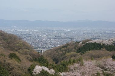 ++嗚呼、短足動物園++