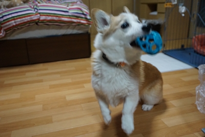 100602