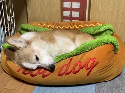 1027