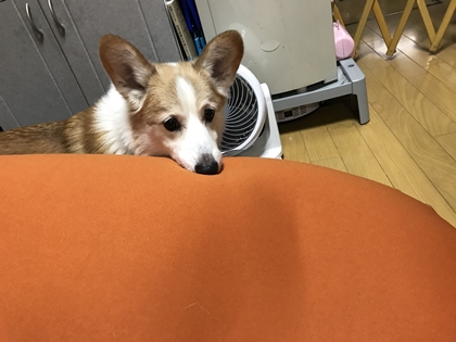 100401