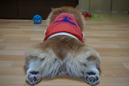 1212