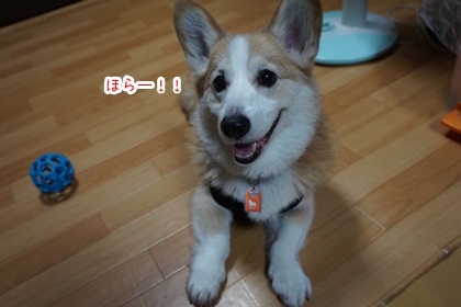 081302