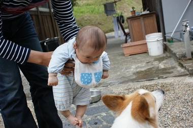 赤ちゃんと ボク 嗚呼 短足動物園 Powered By ライブドアブログ 赤ちゃんと ボク 嗚呼 短足動物園 Powered By ライブドアブログ