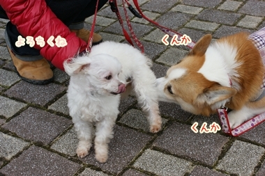 ++嗚呼、短足動物園++