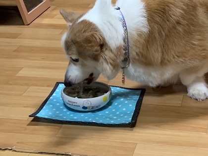 1211