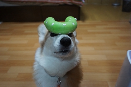 110502