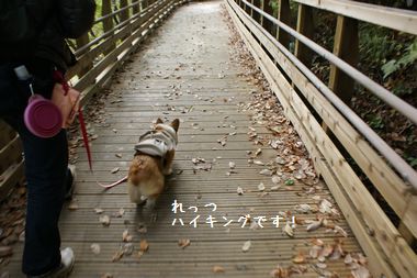 ++嗚呼、短足動物園++