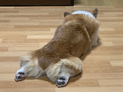 0812