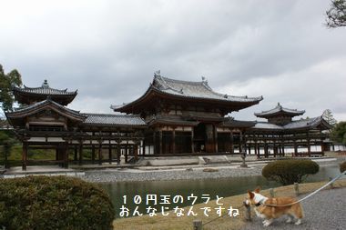 ++嗚呼、短足動物園++