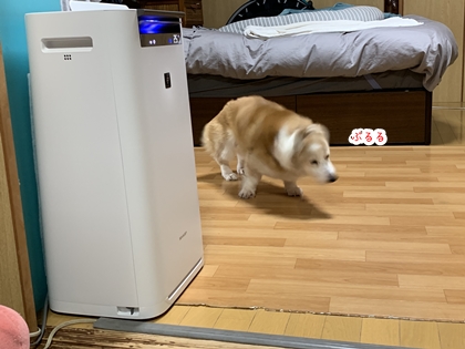 071403