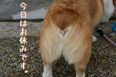 ++嗚呼、短足動物園++