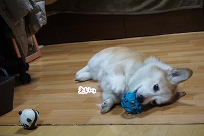 120702