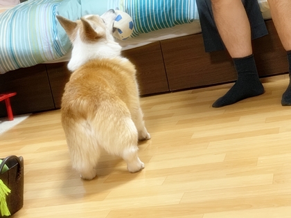 1011