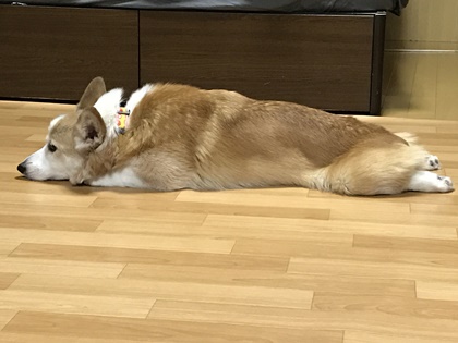 101202
