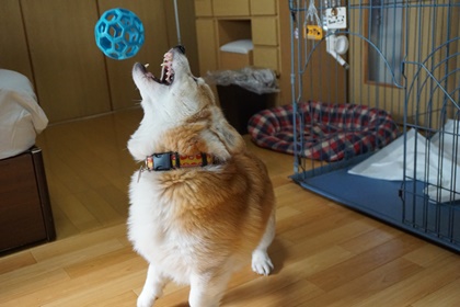 111203