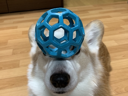 111202