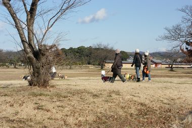 ++嗚呼、短足動物園++