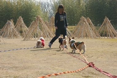 ++嗚呼、短足動物園++