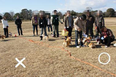 ++嗚呼、短足動物園++