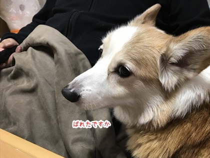 120403