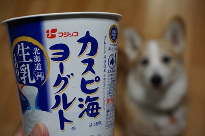 必殺 仕事犬 嗚呼 短足動物園 Powered By ライブドアブログ 必殺 仕事犬 嗚呼 短足動物園 Powered By ライブドアブログ