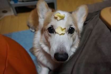 110605