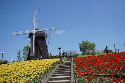 040605