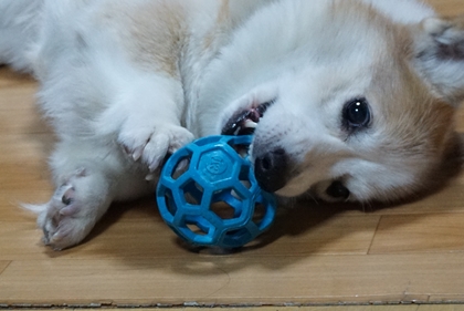 120704