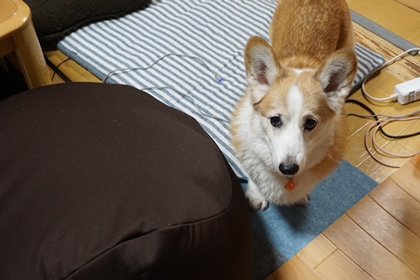 100502