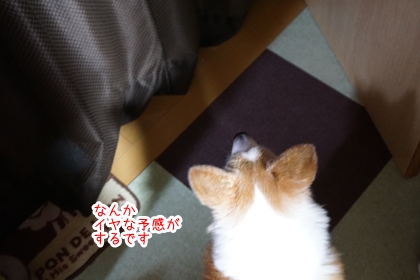 100501