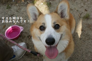 ++嗚呼、短足動物園++