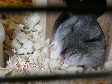 ++嗚呼、短足動物園++