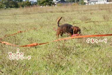 ++嗚呼、短足動物園++