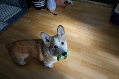 1111