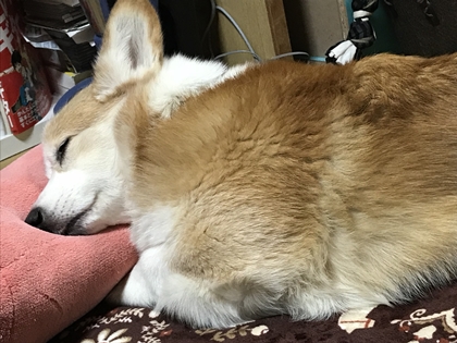 1127