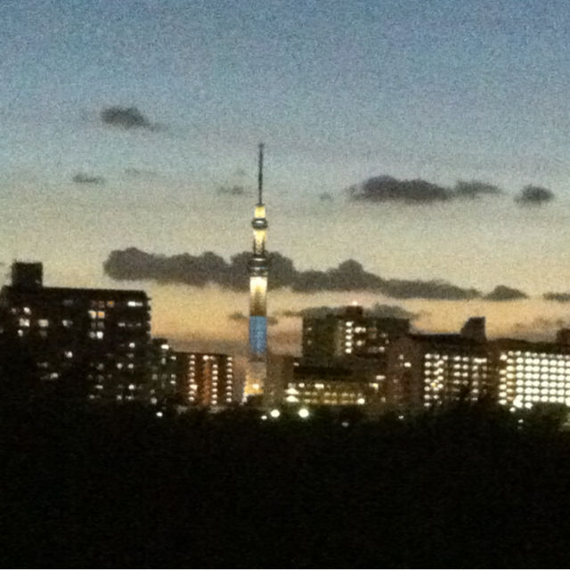 花火の一週間 川の手歳時記