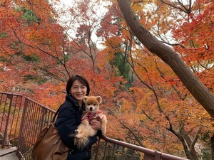 2京都のタンタン