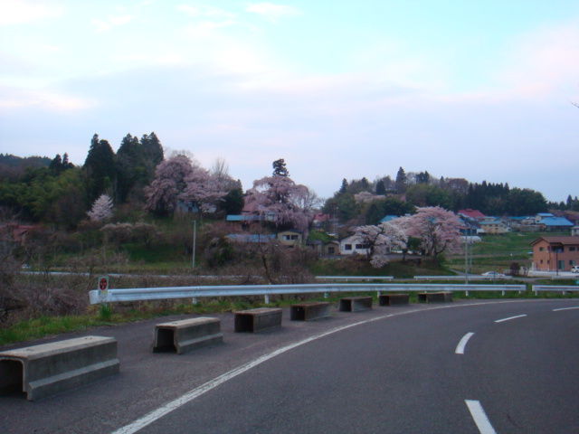 イメージ 6