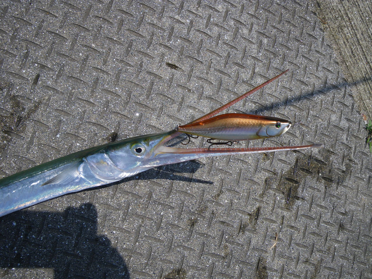 チヌトップ たんたんた ん 長崎でルアー釣り チヌトップ たんたんた ん 長崎でルアー釣り