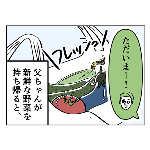 イラスト畑で採れた野菜