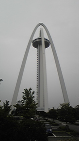 56009789.jpg
