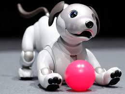 AIBO