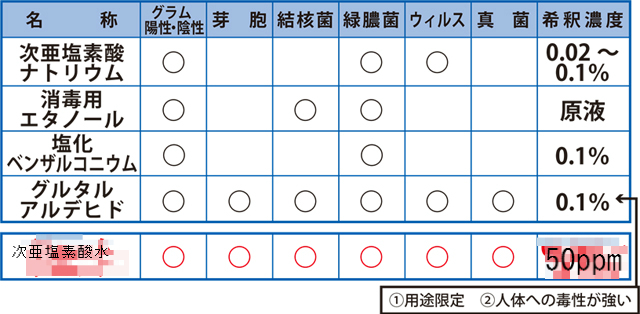 BlogPaint