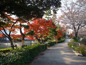 遊歩道