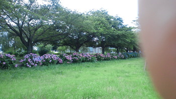 2012062518150000