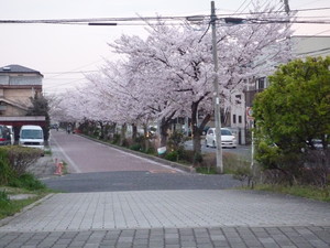 中根町方面