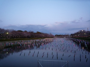 P1070226